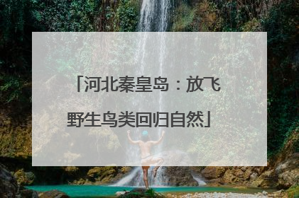 河北秦皇岛：放飞野生鸟类回归自然