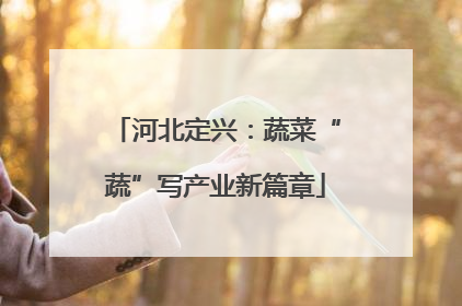 河北定兴：蔬菜“蔬”写产业新篇章