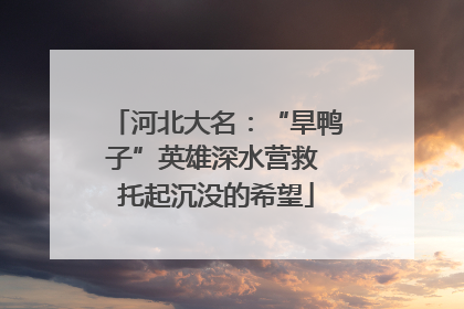河北大名：“旱鸭子”英雄深水营救 托起沉没的希望