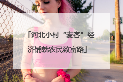 河北小村“麦客”经济铺就农民致富路