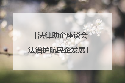法律助企座谈会 法治护航民企发展