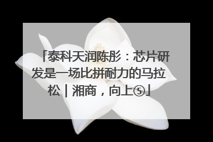 泰科天润陈彤：芯片研发是一场比拼耐力的马拉松｜湘商，向上⑤
