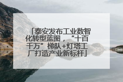泰安发布工业数智化转型蓝图，“十百千万”梯队+灯塔工厂打造产业新标杆