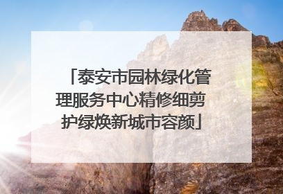 泰安市园林绿化管理服务中心精修细剪护绿焕新城市容颜