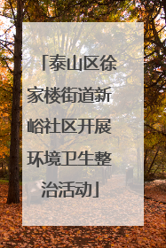 泰山区徐家楼街道新峪社区开展环境卫生整治活动