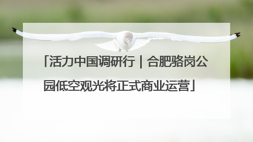 活力中国调研行｜合肥骆岗公园低空观光将正式商业运营