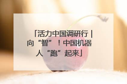 活力中国调研行｜向“智”！中国机器人“跑”起来