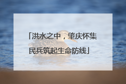 洪水之中，肇庆怀集民兵筑起生命防线