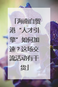 海南自贸港“人才引擎”如何加速？这场交流活动有干货