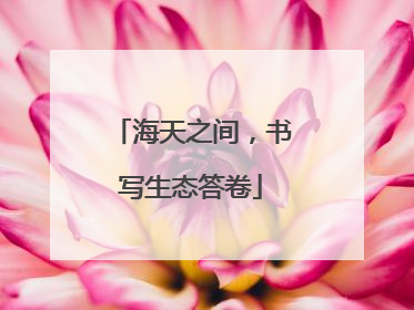 海天之间，书写生态答卷