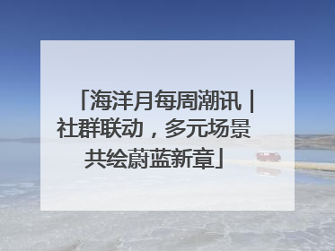 海洋月每周潮讯｜社群联动，多元场景共绘蔚蓝新章