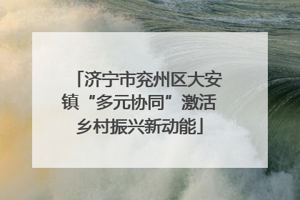 济宁市兖州区大安镇“多元协同”激活乡村振兴新动能