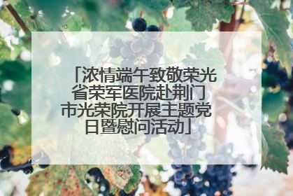 浓情端午致敬荣光 省荣军医院赴荆门市光荣院开展主题党日暨慰问活动