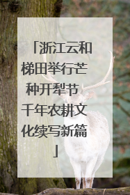 浙江云和梯田举行芒种开犁节 千年农耕文化续写新篇