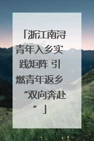 浙江南浔青年入乡实践矩阵 引燃青年返乡“双向奔赴”