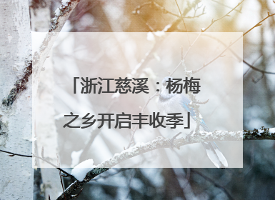 浙江慈溪：杨梅之乡开启丰收季