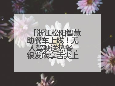 浙江松阳智慧助餐车上线！无人驾驶送热餐，银发族享舌尖上的科技关怀