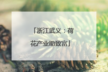 浙江武义：荷花产业助致富