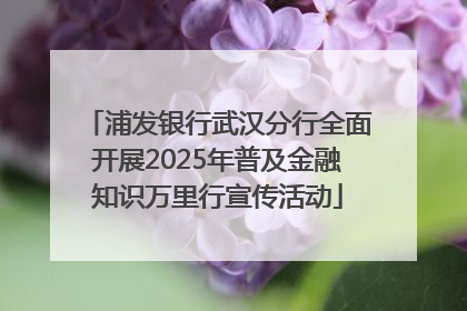 浦发银行武汉分行全面开展2025年普及金融知识万里行宣传活动
