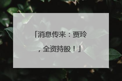 消息传来：贾玲，全资持股！