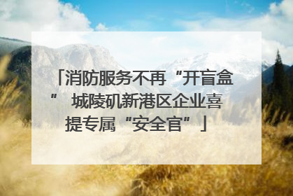 消防服务不再“开盲盒” 城陵矶新港区企业喜提专属“安全官”