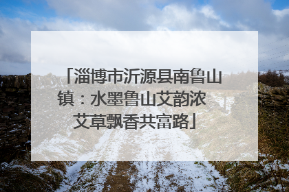 淄博市沂源县南鲁山镇：水墨鲁山艾韵浓 艾草飘香共富路