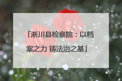 淅川县检察院：以档案之力 铸法治之基