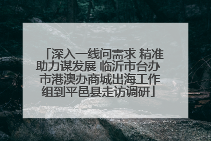 深入一线问需求 精准助力谋发展 临沂市台办 市港澳办商城出海工作组到平邑县走访调研