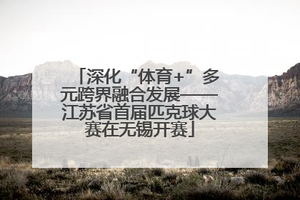深化“体育+”多元跨界融合发展——江苏省首届匹克球大赛在无锡开赛