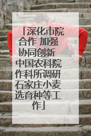 深化市院合作 加强协同创新 中国农科院作科所调研石家庄小麦选育种等工作