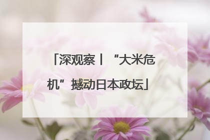 深观察丨“大米危机”撼动日本政坛