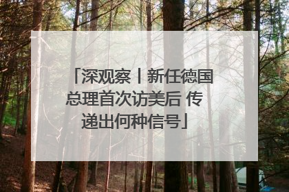 深观察丨新任德国总理首次访美后 传递出何种信号