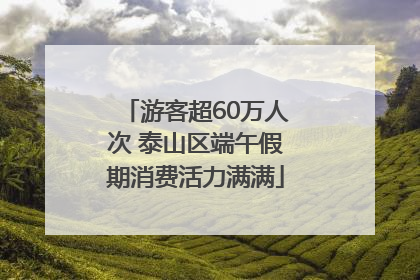 游客超60万人次 泰山区端午假期消费活力满满