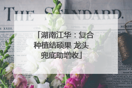 湖南江华：复合种植结硕果 龙头兜底助增收
