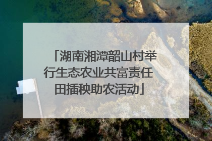 湖南湘潭韶山村举行生态农业共富责任田插秧助农活动