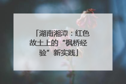 湖南湘潭：红色故土上的“枫桥经验”新实践