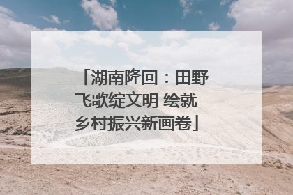 湖南隆回：田野飞歌绽文明 绘就乡村振兴新画卷