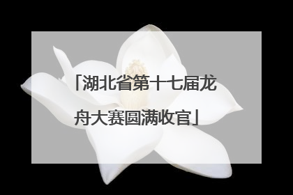 湖北省第十七届龙舟大赛圆满收官