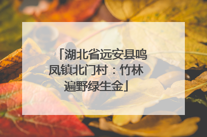 湖北省远安县鸣凤镇北门村：竹林遍野绿生金