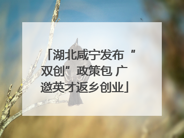 湖北咸宁发布“双创”政策包 广邀英才返乡创业