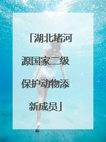 湖北堵河源国家二级保护动物添新成员