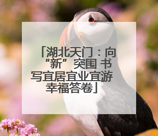 湖北天门：向“新”突围 书写宜居宜业宜游幸福答卷