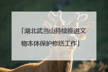 湖北武当山持续推进文物本体保护修缮工作