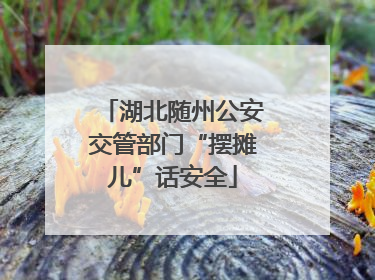 湖北随州公安交管部门“摆摊儿”话安全