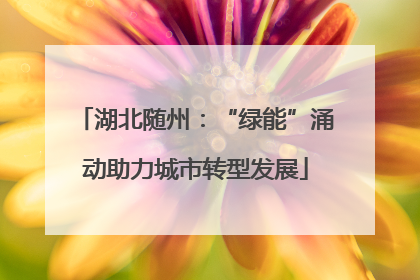 湖北随州：“绿能”涌动助力城市转型发展