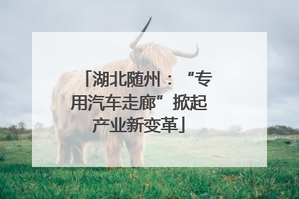 湖北随州：“专用汽车走廊”掀起产业新变革