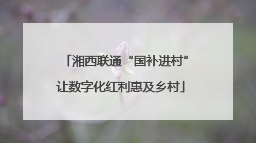 湘西联通“国补进村”让数字化红利惠及乡村