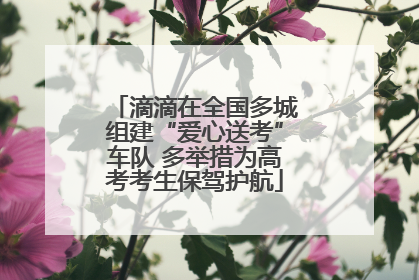 滴滴在全国多城组建“爱心送考”车队 多举措为高考考生保驾护航