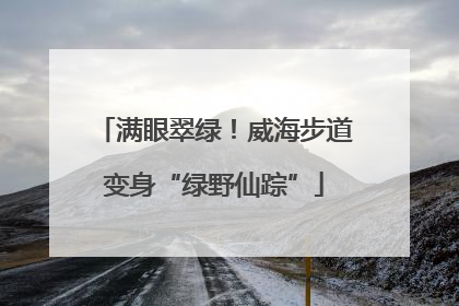 满眼翠绿！威海步道变身“绿野仙踪”