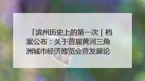 滨州历史上的第一次｜档案公布：关于首届黄河三角洲城市经济博览会暨发展论坛情况的总结报告